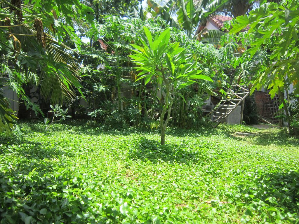 Local Beach Homestay Hoi An Exterior foto